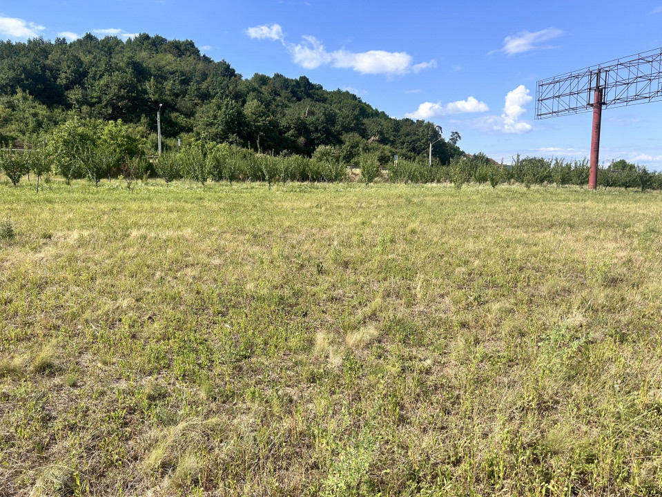 Teren  12300 mp  Cranimat, zona industriala 