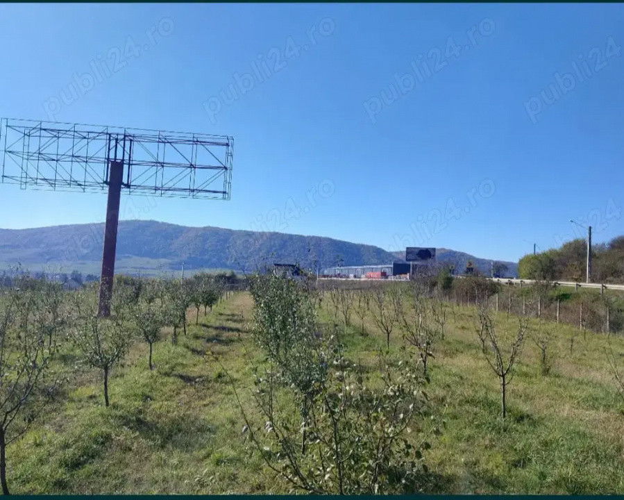 Teren  12300 mp  Cranimat, zona industriala 