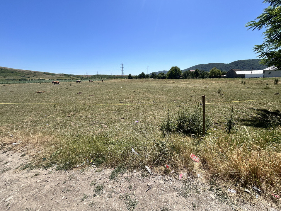 Teren Intravilan central in Sarata  parcele 700 mp