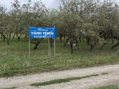 Teren extravilan  Valea Rusului-parcela - 9 ari - 23 000 EURO