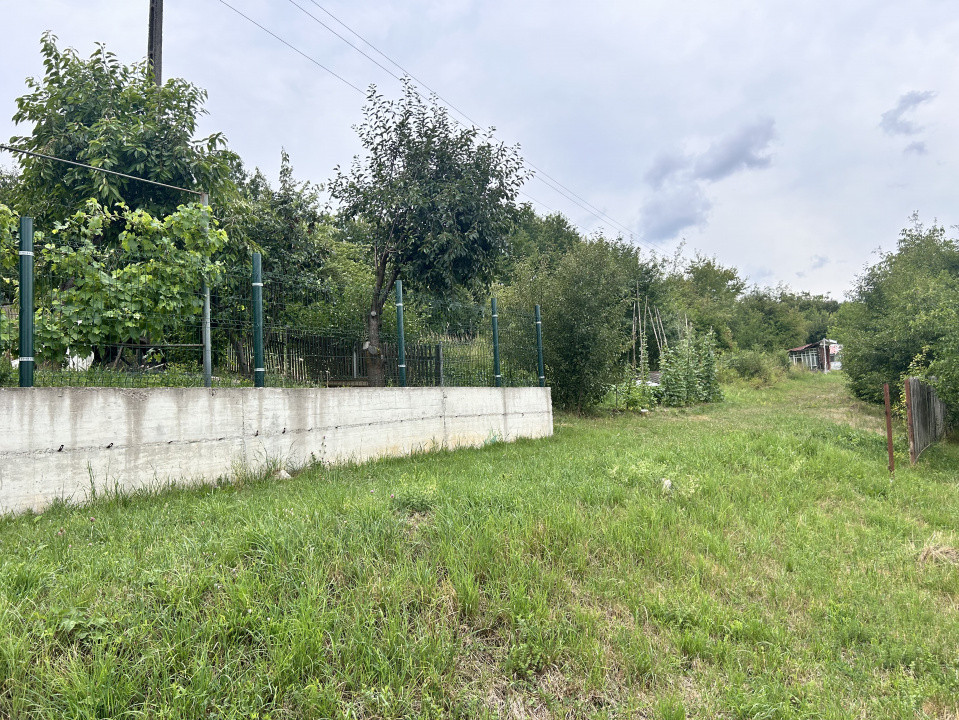 Teren intravila 600 mp - Valea Sigmirului  5000 eur ar
