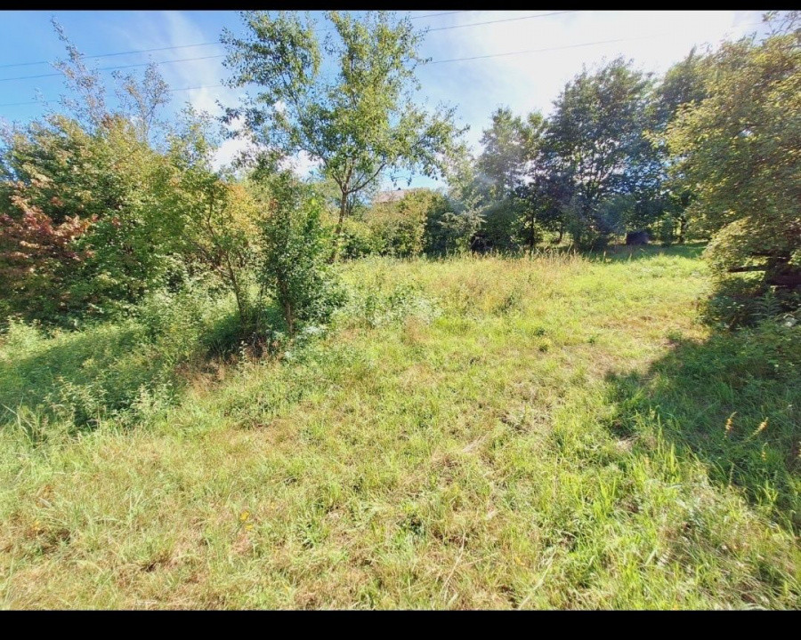 Teren intravila 600 mp - Valea Sigmirului  5000 eur ar