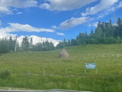 Teren Pasul Tihuța/Piatra Fântânele la DN langa Manastire