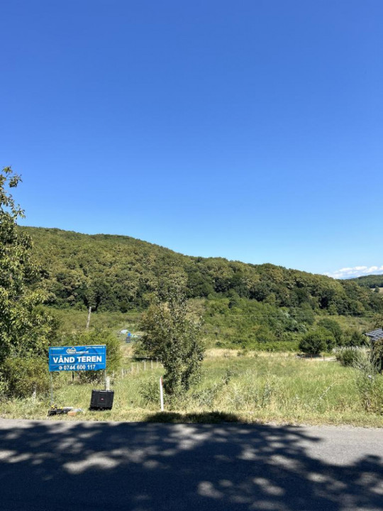Teren  Valea Rusului  1600 mp posibilitate 2 parcele 800 mp
