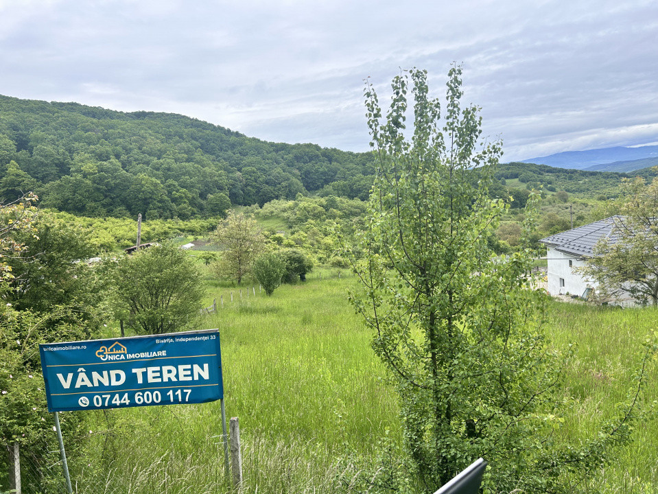 Teren  Valea Rusului  1600 mp posibilitate 2 parcele 800 mp
