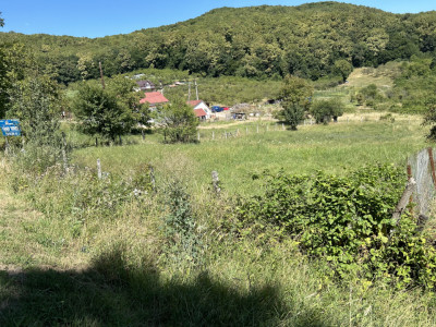 Teren  Valea Rusului  1600 mp posibilitate 2 parcele 800 mp