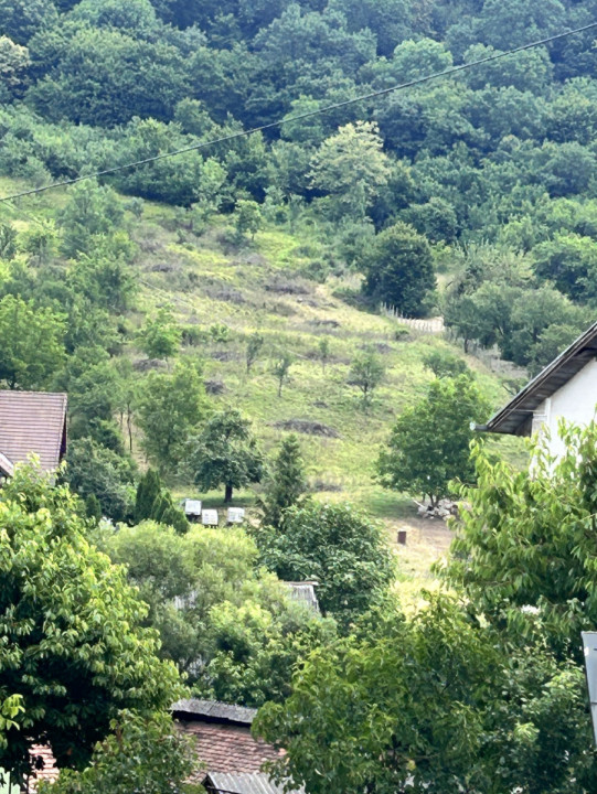 TEREN VALEA GHINZI PARCELE DE 650 MP , INTRAVILAN SI EXRAVILAN