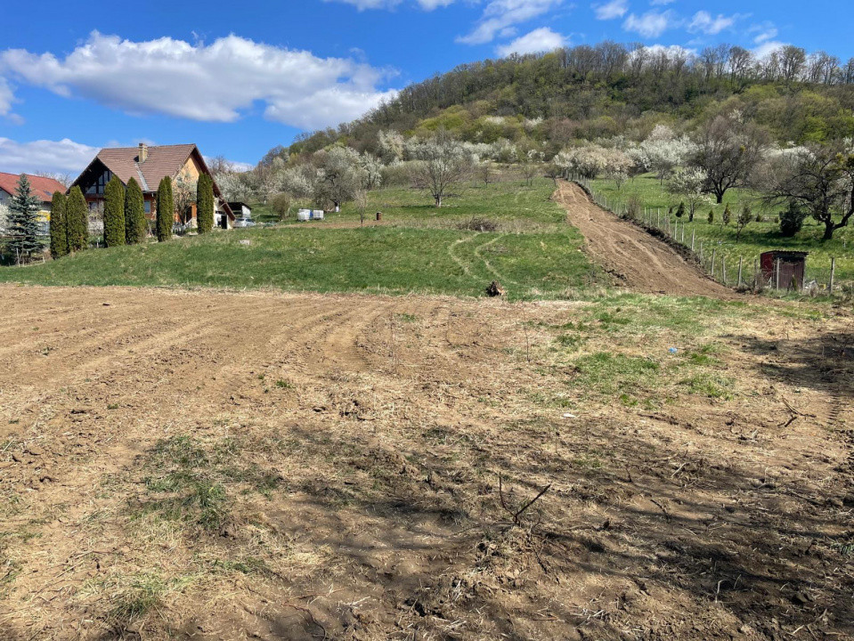 TEREN VALEA GHINZI PARCELE DE 650 MP , INTRAVILAN SI EXRAVILAN
