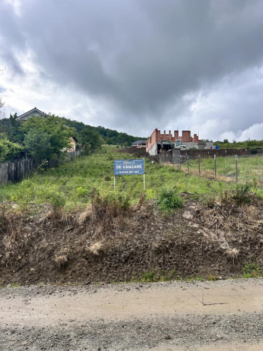 TEREN INTRAVILAN DE VANZARE  LA IESIREA DIN VIISOARA 2000 MP