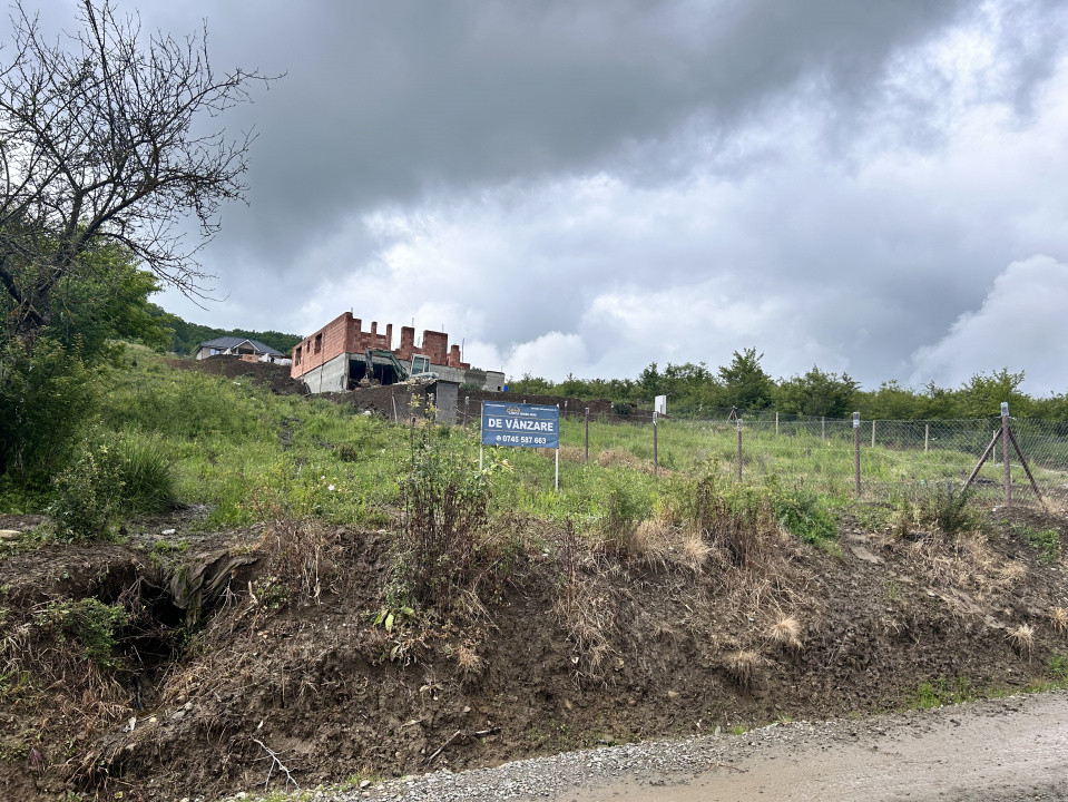 TEREN INTRAVILAN DE VANZARE  LA IESIREA DIN VIISOARA 2000 MP