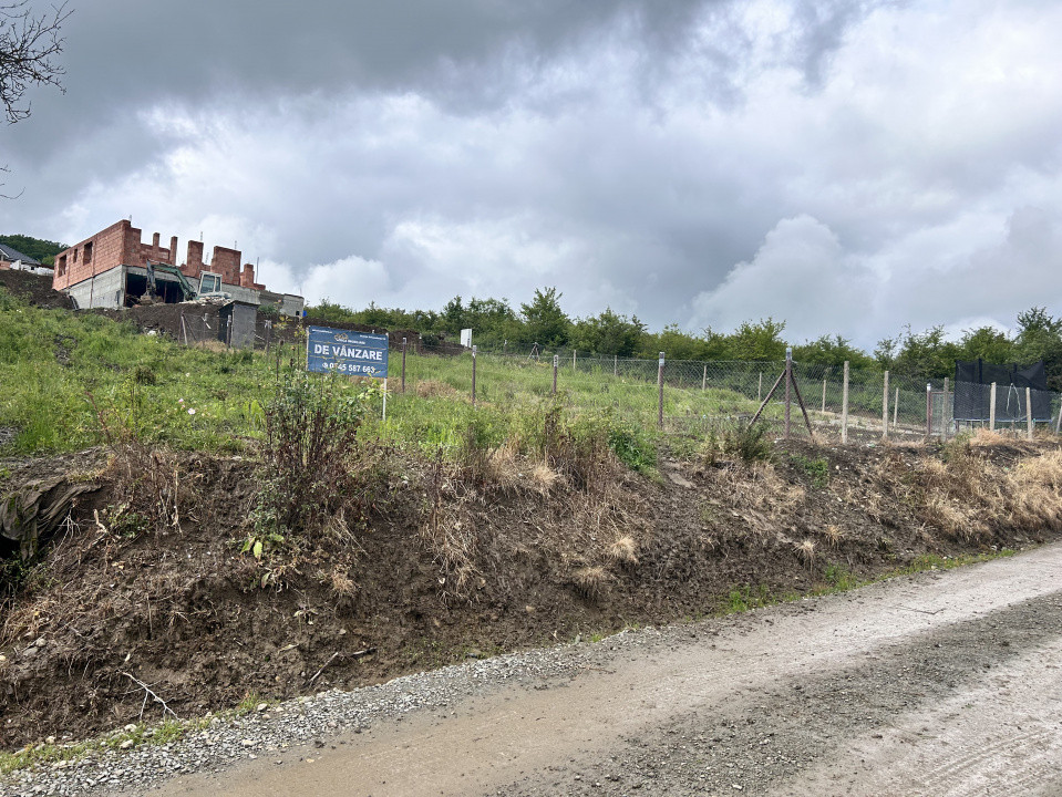 TEREN INTRAVILAN DE VANZARE  LA IESIREA DIN VIISOARA 2000 MP