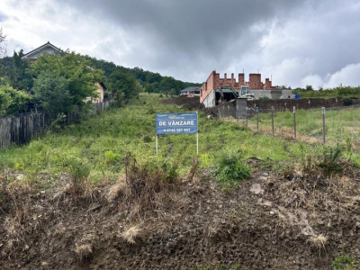 TEREN INTRAVILAN DE VANZARE  LA IESIREA DIN VIISOARA 2000 MP