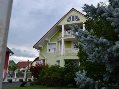 Casa/vila 400 mp-teren 900mp-piscina-Unirea- Vasile Petri, comision 0