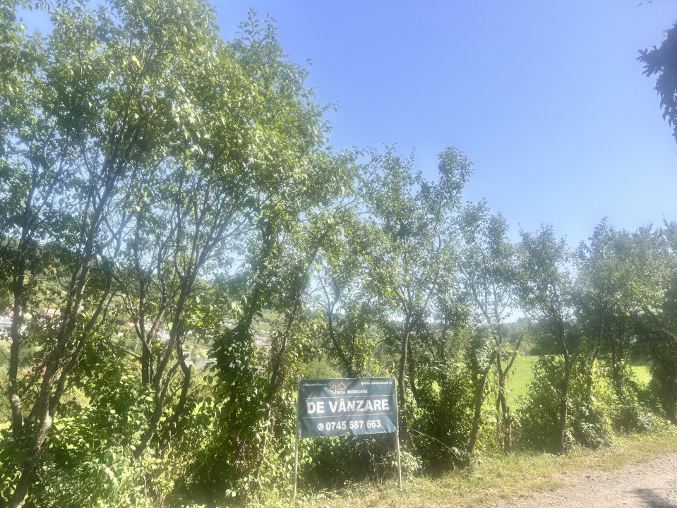 Teren intravilan  parcelat 930 mp Str Dambului (posibilitate plata in rate)