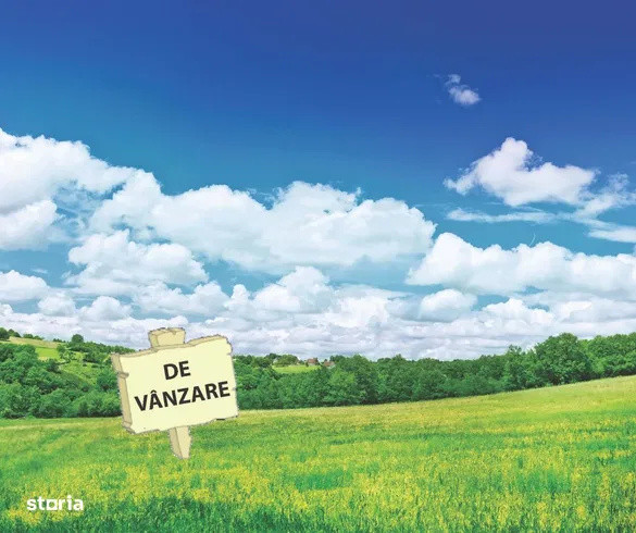 Parcele teren 53 ari in loc.Viisoara  str Izvorul Rece posibilitate rate