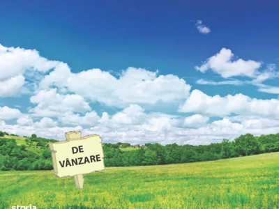 Parcele teren 53 ari in loc.Viisoara  str Izvorul Rece posibilitate rate