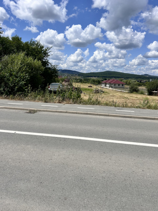 Teren intravilan 1,2h  Valea Ghinzi 1,5km distanta de Teraplast Arena