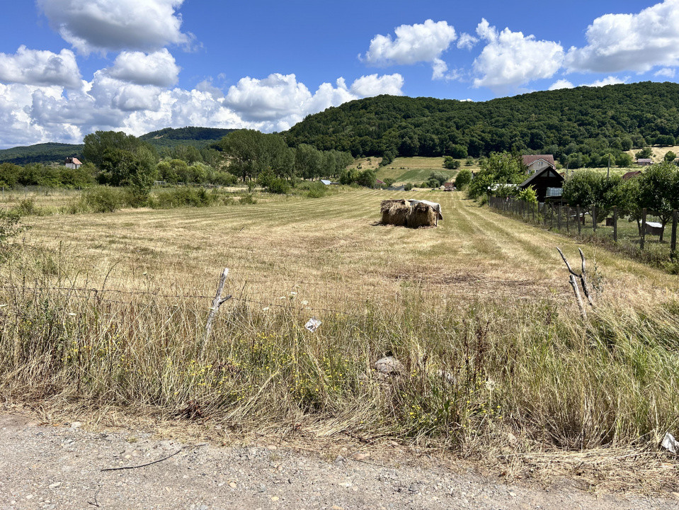 Teren intravilan 1,2h  Valea Ghinzi 1,5km distanta de Teraplast Arena