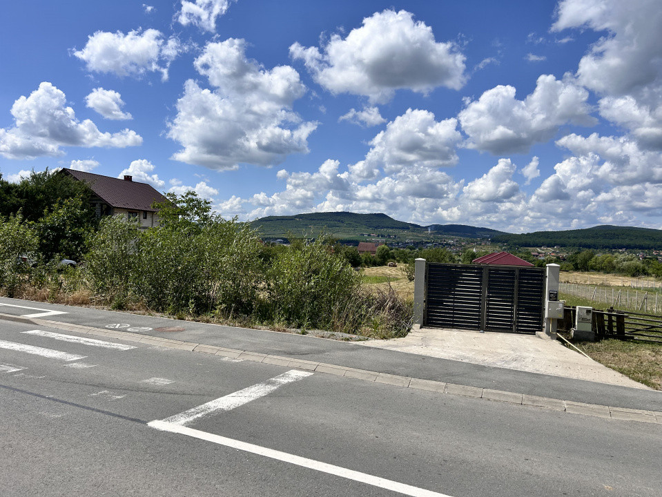 Teren intravilan 1,2h  Valea Ghinzi 1,5km distanta de Teraplast Arena