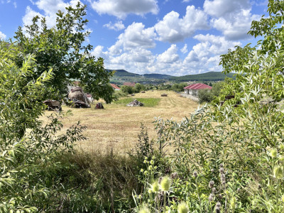 Teren intravilan 1,2h  Valea Ghinzi 1,5km distanta de Teraplast Arena