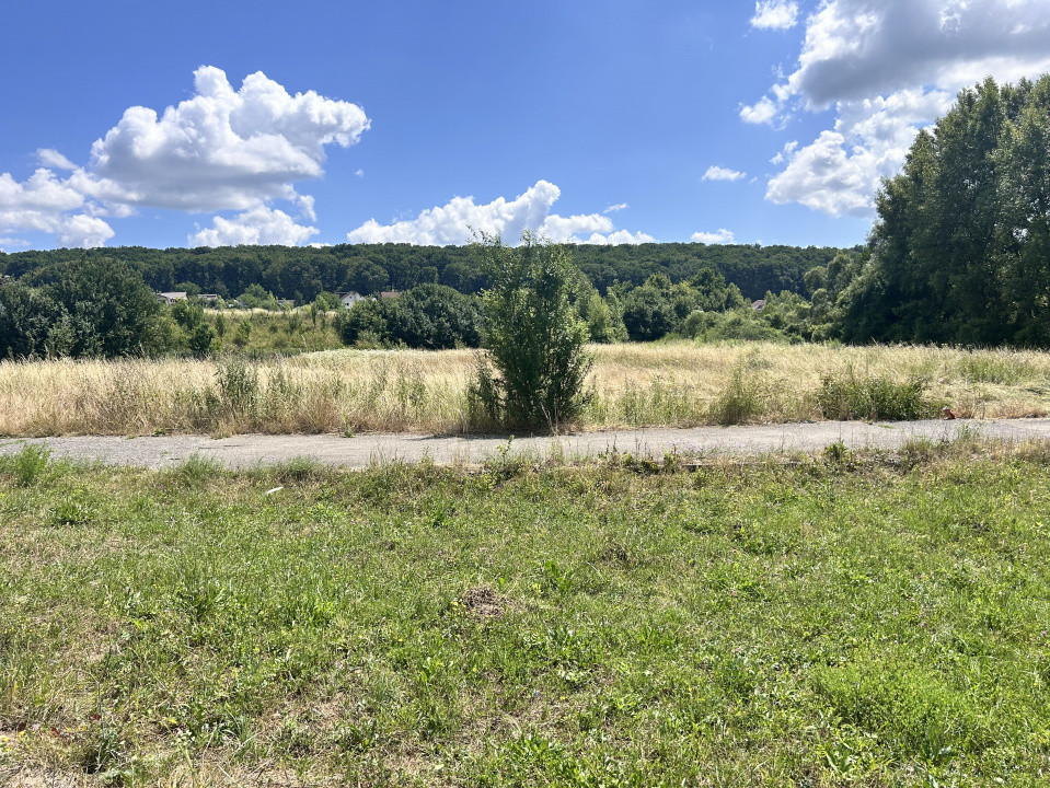 Teren Intravilan/extravilan  34 ari  La Punte - Lac Agrement Bistrita