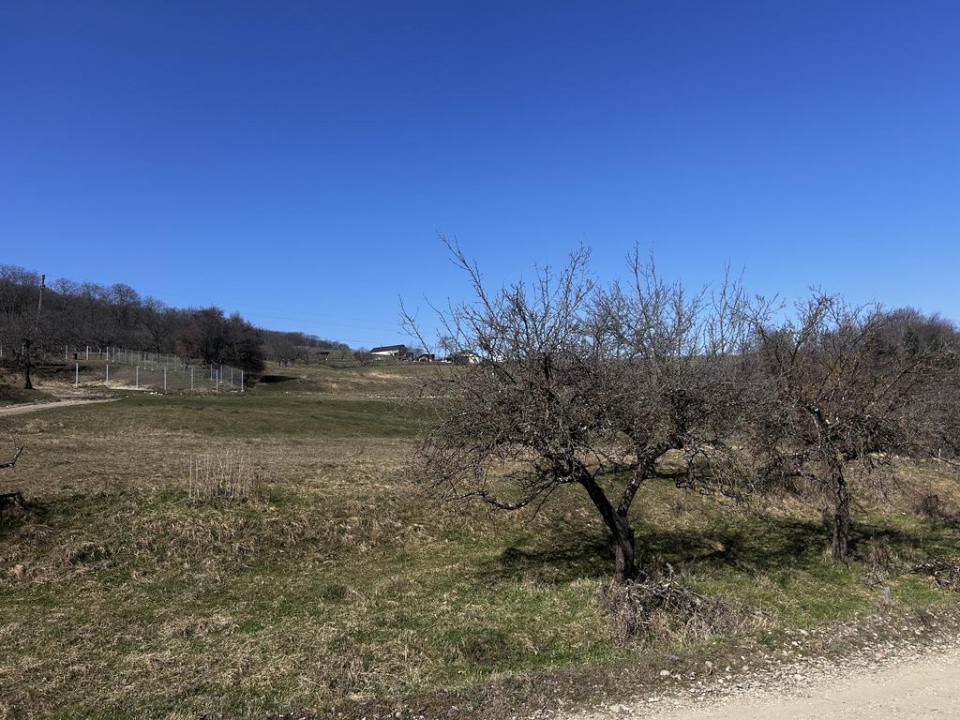 17 parcele Teren extravilan Drumul Dumitrei Noi 