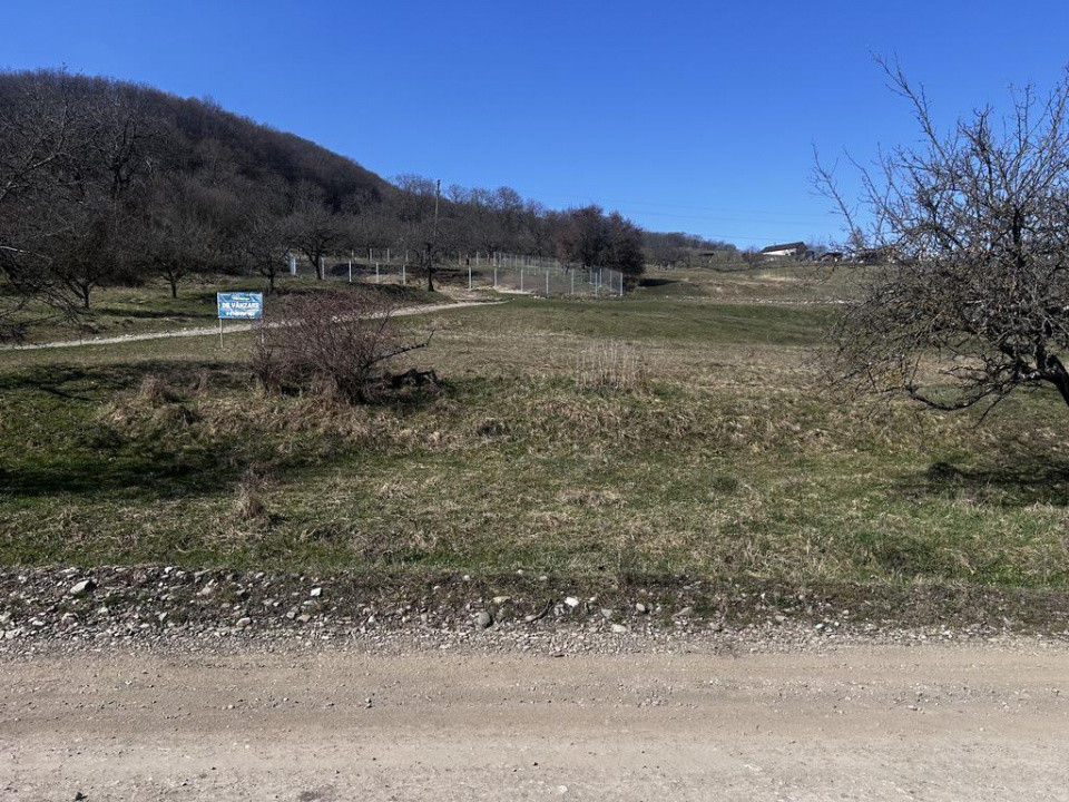 17 parcele Teren extravilan Drumul Dumitrei Noi 