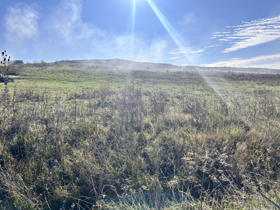 Teren extravilan Cighir 1,6 ha - la drumul principal