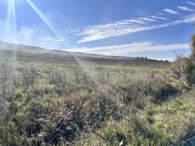 Teren extravilan Cighir 1,6 ha - la drumul principal