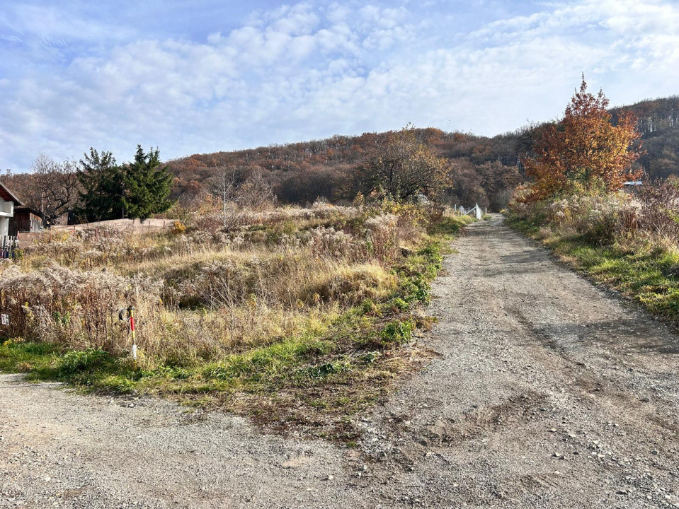 Teren extravilan - Valea Ghinzi- 900mp- 35000 euro