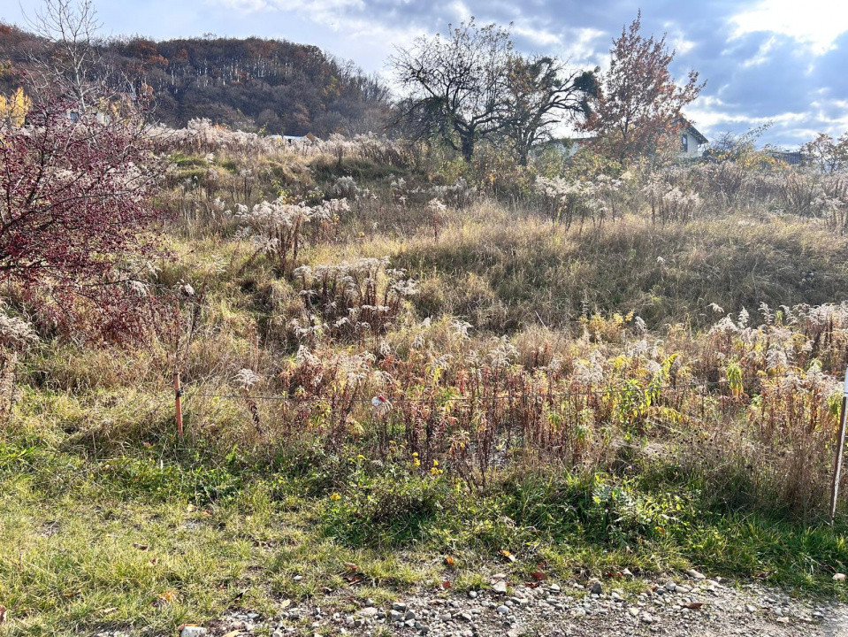 Teren extravilan-Valea Ghinzi-500mp- 2500 euro ar