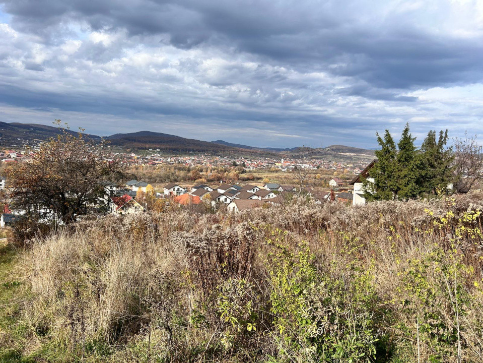 Teren extravilan-Valea Ghinzi-500mp- 2500 euro ar