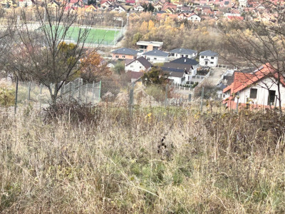 Teren extravilan-Valea Ghinzi-500mp- 2500 euro ar