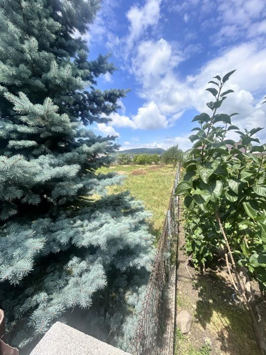 - Oportunitate teren intravilan  1300 mp str. Vasile Petri -zona premium-