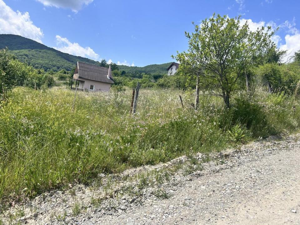 Teren 6000 mp -60 ari  -Oportunitate Investitie- Sigmir-Tarla La Soare -