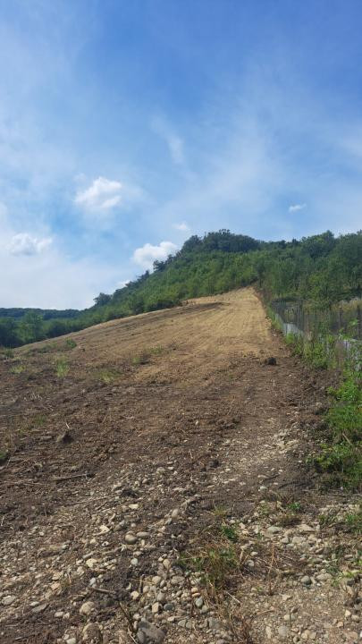 Ocazie - Teren Izvorul Sarat - 500mp- 2500 euro/arie