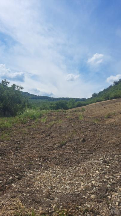 Ocazie - Teren Izvorul Sarat - 500mp- 2500 euro/arie