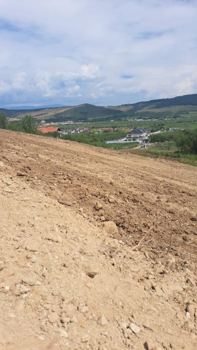 Ocazie - Teren Izvorul Sarat - 500mp- 2500 euro/arie