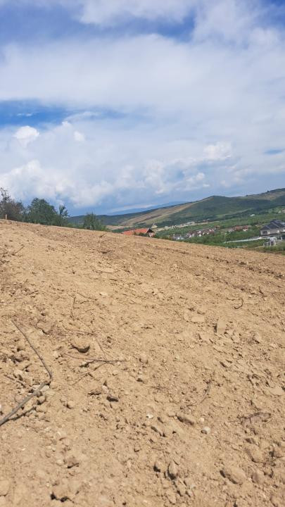 Ocazie - Teren Izvorul Sarat - 500mp- 2500 euro/arie