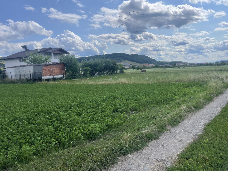 Oportunitate teren Intravilan-900mp- Aerodrom--Teraplast Arena- 5500 euro/ar.