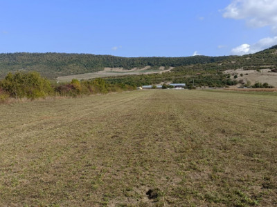 Vand teren Sieu Magherus 1,25 ha , cu front de 33m la DN 17