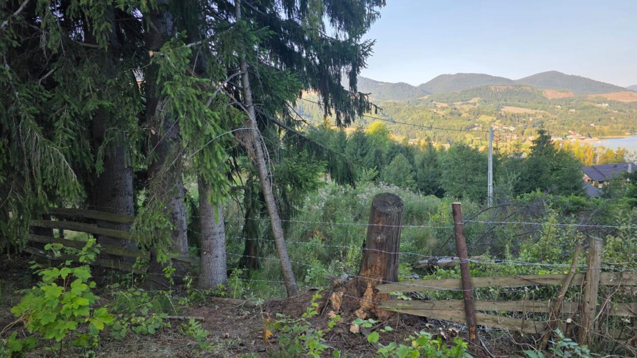 Teren Colibita 5100 mp, sau doua parcele 17 si 24 ari cu utilitati