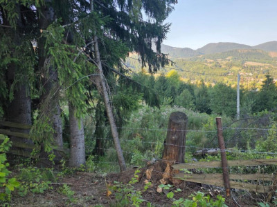 Teren Colibita 5100 mp, sau doua parcele 17 si 24 ari cu utilitati