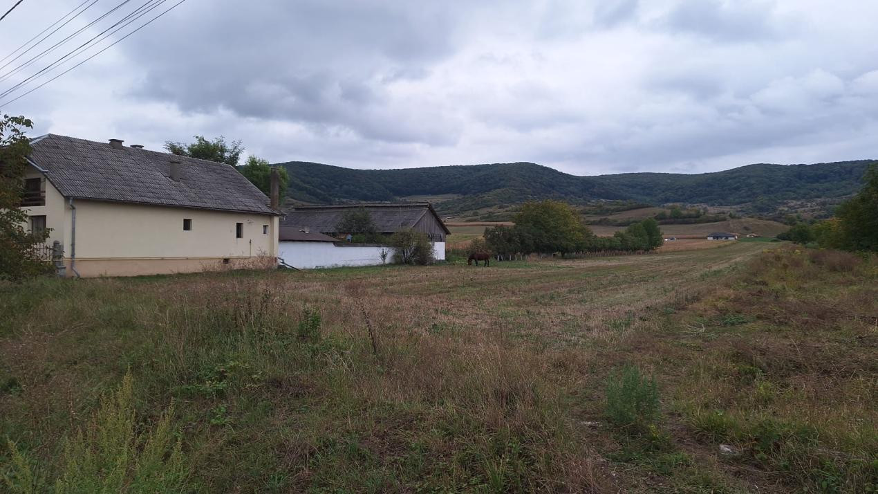 Teren Intravilan  parcelabil in Arcalia  2000 euro ar