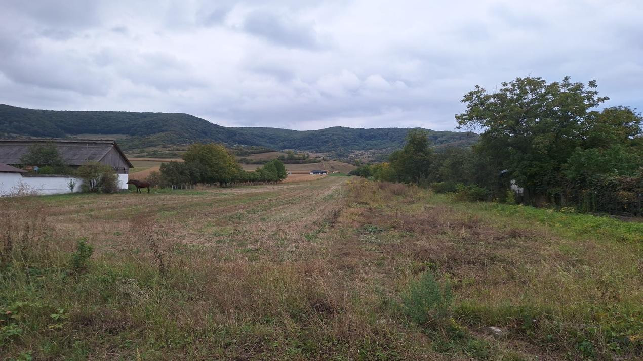 Teren Intravilan  parcelabil in Arcalia  2000 euro ar