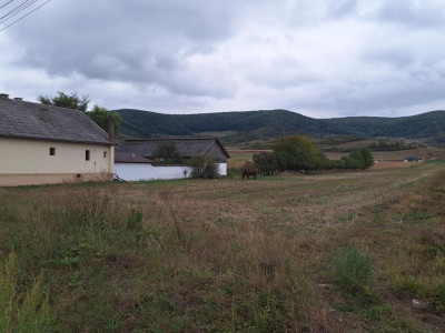 Teren Intravilan  parcelabil in Arcalia  2000 euro ar
