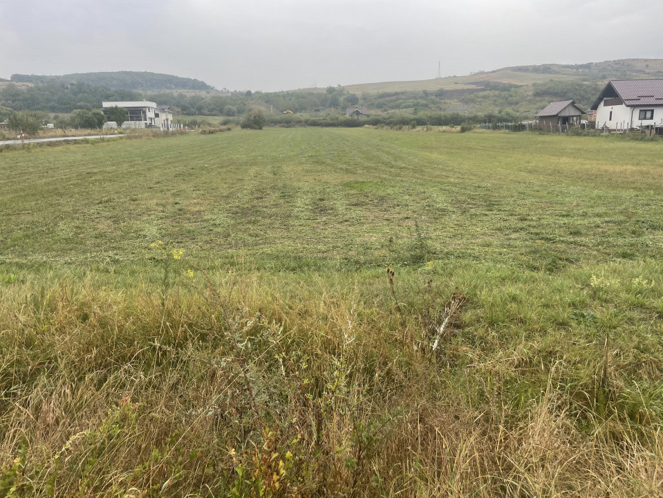 Teren intravilan, parcelabil, Str Zavoaie toate utilitatile 10000 euro